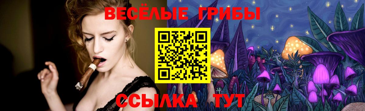 Псилоцибиновые грибы мицелий Корсаков